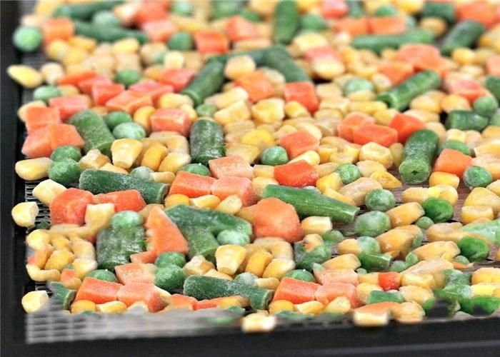 Best Selling Vegetable Fruit Freezing Machine