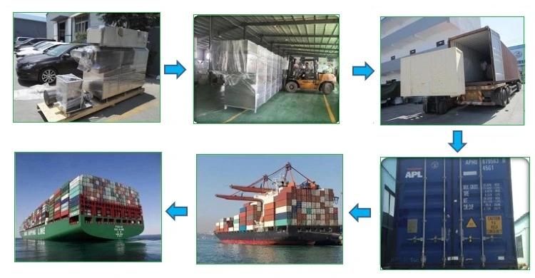 Fruits Vegetables Washing Cleaning Sorting Grading Machine