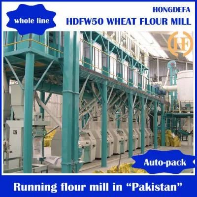 European Standard of 50t/D Wheat Mill