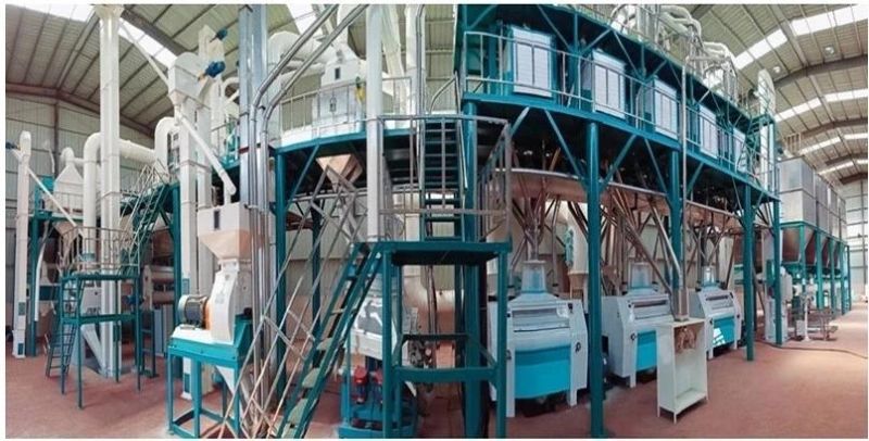 Hongdefa Supply 30t Per Day Maize Flour Milling Machine for Ethiopia
