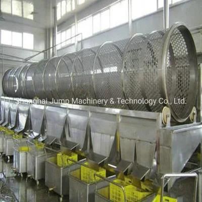 Canned Fruit Pickles Processing Line Fruit Pickling Bottling Machines in System PLC