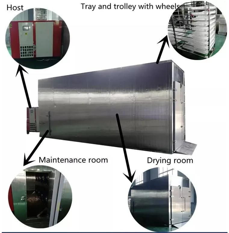 Hot Air Dates Apple Dryer Heat Pump Drying Machine for Fruit