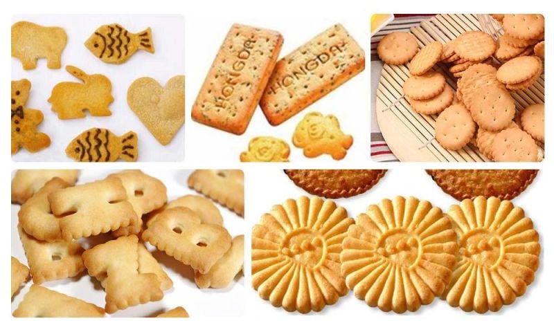 Cookies Biscuit Making Machine Durable Biscuit Machine Delicious Biscuit Making Machine