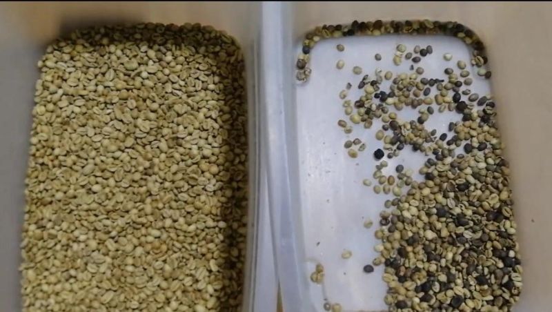 Coffee Bean Processing High Capacity 10 Chutes Bean Color Sorter