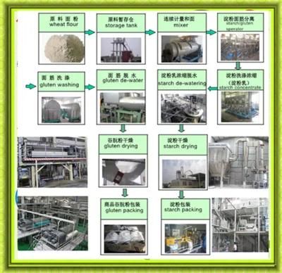 Turnkey Project Wheat Starch Production Line