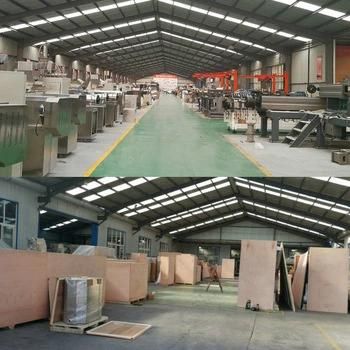 Twin Screw Extruder Textured Soya Protein Make Machine