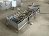 Raisin Packing Machine with Plastic Bag