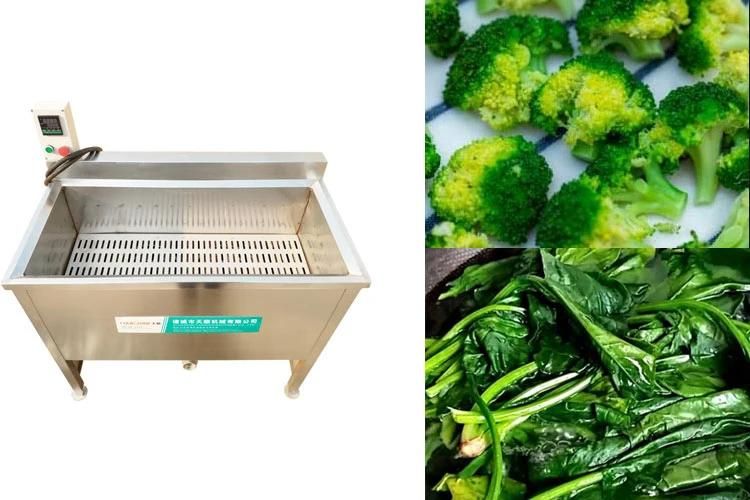 Hot Water Blancher for Vegetables and Fruit Vegetable Blanching Machine