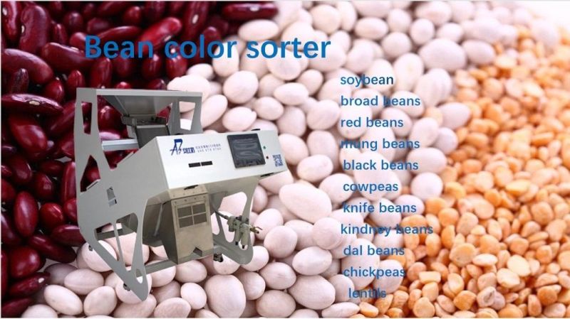 Bida Small Bean Processing Machine Bean Selector