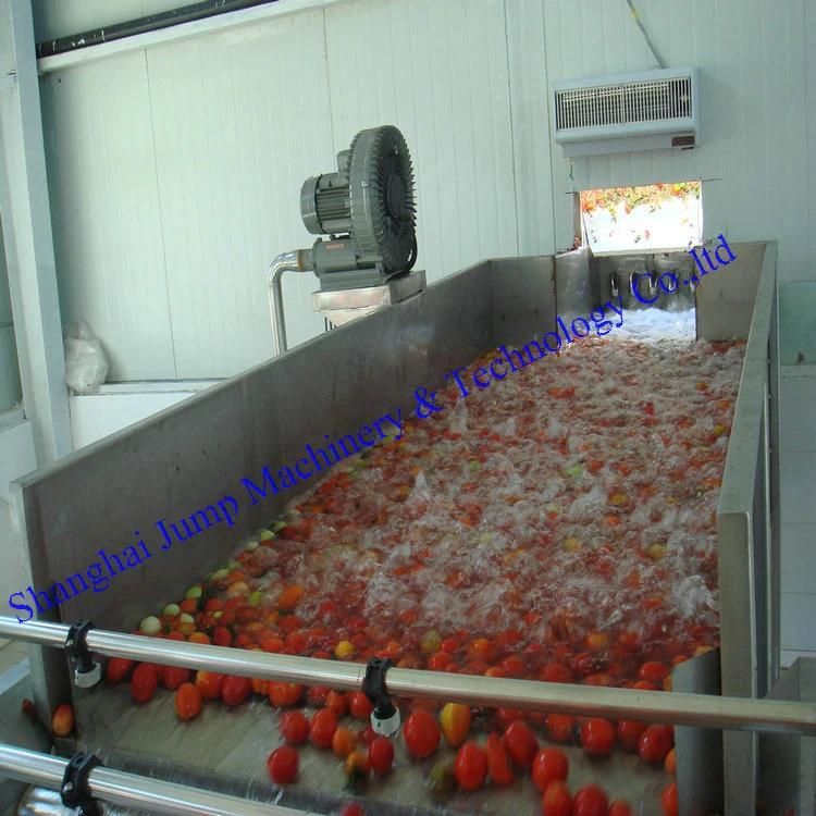 200kg-300kg Pilot Type Tubular Sterilizer
