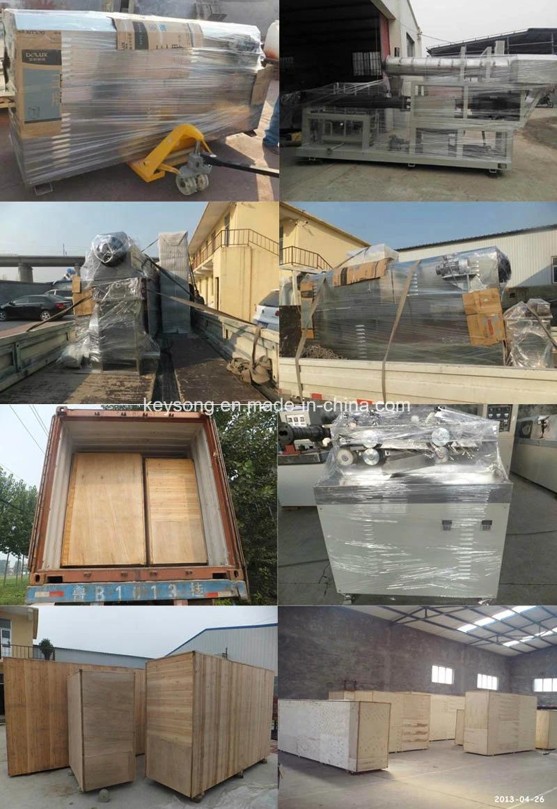 Shandong Food Machine Manufacturer Automatic Kurkure/Cheetos Making Machine
