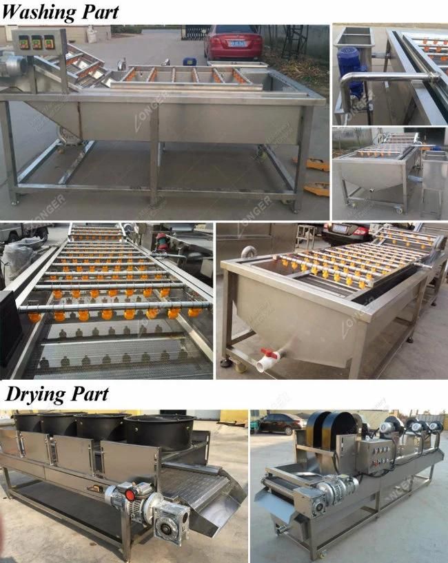 Ce Approved Industrial Fruit Washing Machine with High Quality