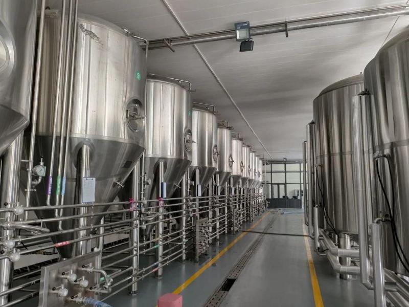 3000L SUS 304 Conical Fermenter Beer Fermentation Tank