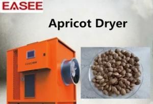 New Technology Integral Drying Equipment Apricot Dryer Machine Food Dehydrator