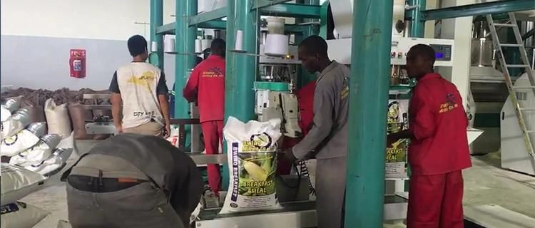 Sifted Maize Flour Maize Mill Equipment for Africa