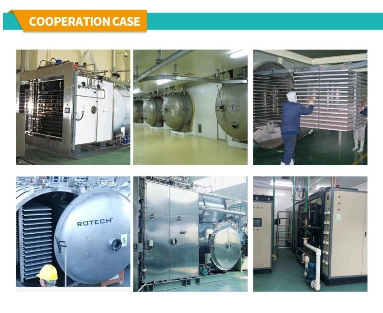 500kg Vacuum Freeze Dryer Meat Freeze Drying Machine Lyophilizer for Food Processing Line