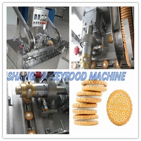 Complete Set Biscuit Machinery for Food