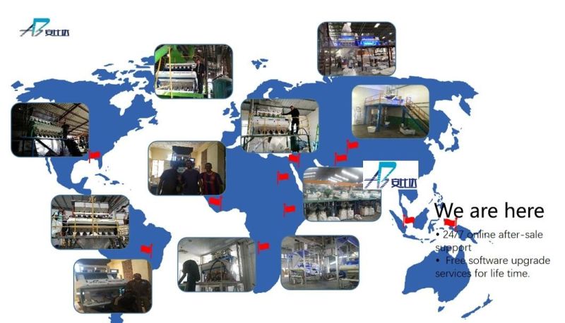 High Capacity Cleaning Equipment Raisin Processing Color Sorter Machine