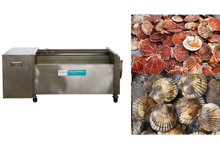 Brush Roller Washing Machine Scallop Washing and Cleaning Machine