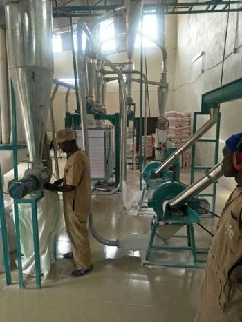 Great Maize Mill Running Griding Maize Flour Miaze Meal Milling Plant