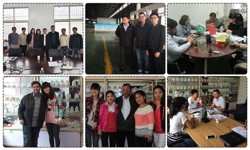 Shandong Loyal-Intelligient Twin Screw Extruder Production Equipment for Chocolate Cream Corn Sticks Automatic