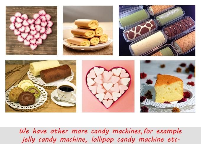 Swiss Roll Production Line, Layer Sponge Cake Machine