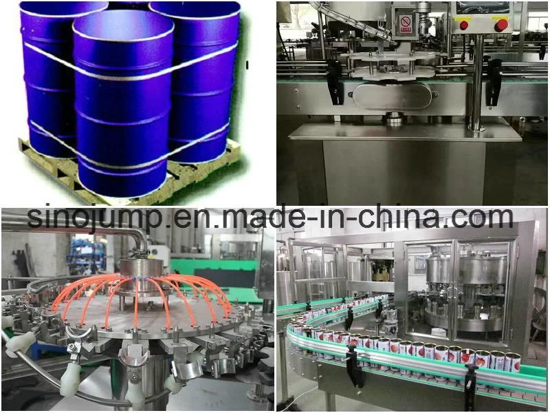High-Quality Blueberry Processing Plant Machinery