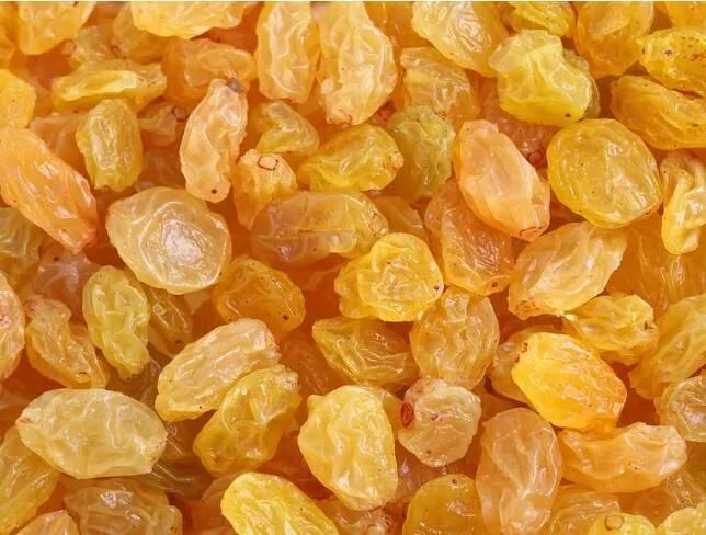 Machinery for Fruits Washing Raisin Washing Machine