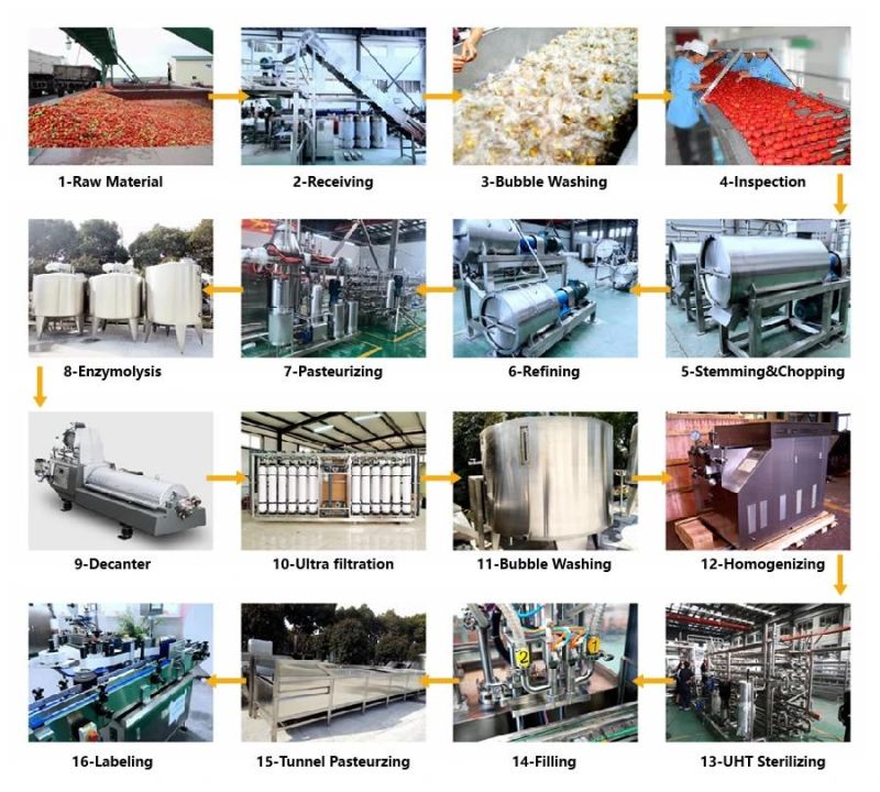 Dried Mango/ Mango Drying Mchine/ Dried Machine for Mango