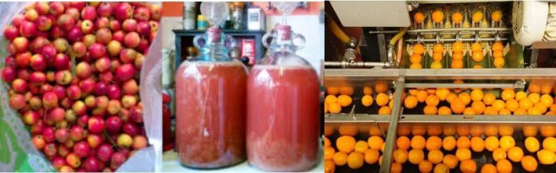 Fruit Wine Production, Fruit Wine Stylestechnology of Fruit Wine Making Pasteurization Machine