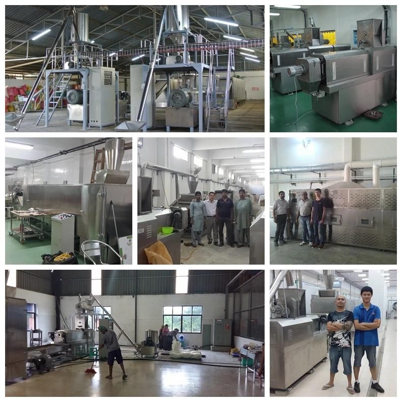 Baby Food Extrusion Machine