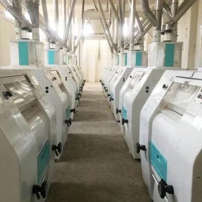 300t Automatic Wheat Flour Mill Equipment in Afghanistan
