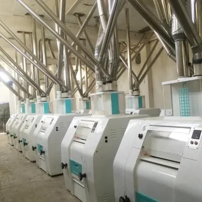 Hot Selling Maize Milling Machines Flour Mill Price Tanzania
