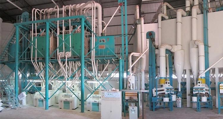 America Standard 150t/24h Wheat Flour Milling Machine