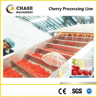 Peach Apricot Fruit Juice Production Processing Line