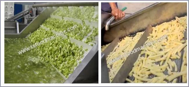 Food Processing Machine and Hispanic Vegetables Blanching Machine