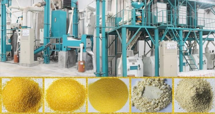 Zambia Running 50t/24h Maize Milling Plant for Breakfast Meal