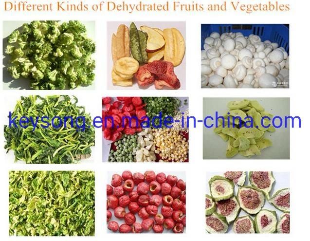 Plant Made Dehydration Machine for Fruits and Vegetables