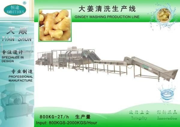 Ginger Processing Ginger Washing Cutting Drying production Line
