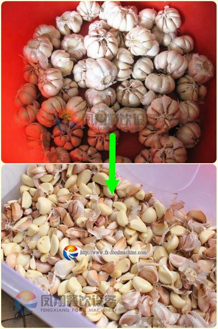 Ce Approved Industrial Automatic Garlic Clove Bulbs Extruding Squeeze Machine