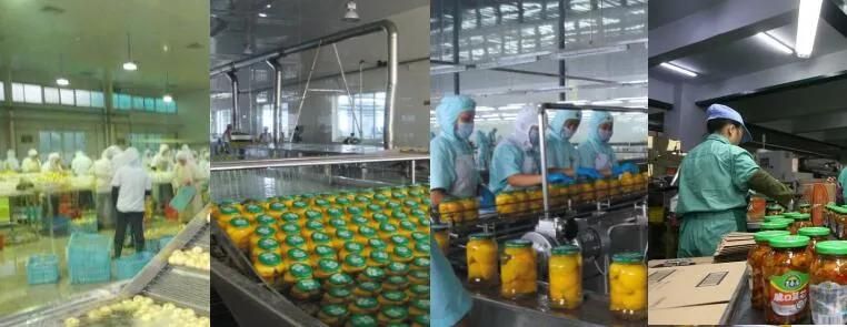 Industrial Pasteurizer Equipment Spry Tunell Canned Seafood Pasteurization Machine