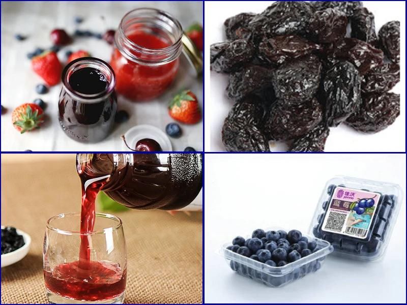 High-Quality Commercial Raspberry Juice Making Machine Raspberry Jam Sauce Processing Line