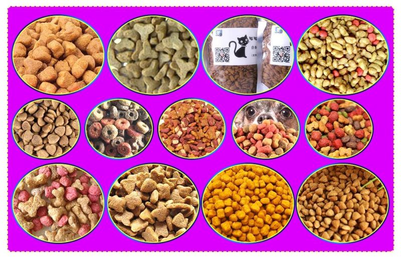 Extruder for Small Floating Fish Feed Pellet Machine Double Screw Extruder Bird Dog Food Machine Pet Feed Production Line