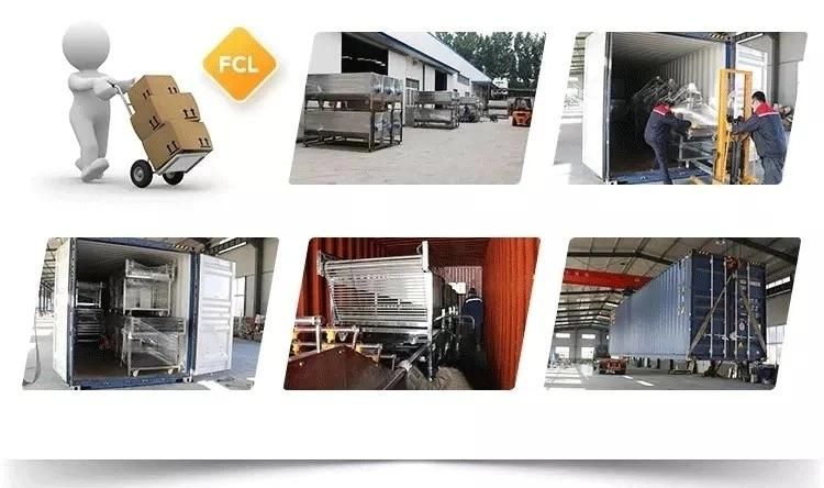 Big Discount Frozen French Fries Production Line in India