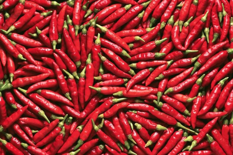 Chilli Pods Washing Machine Chili Pepers Chilli Cleaning Machine