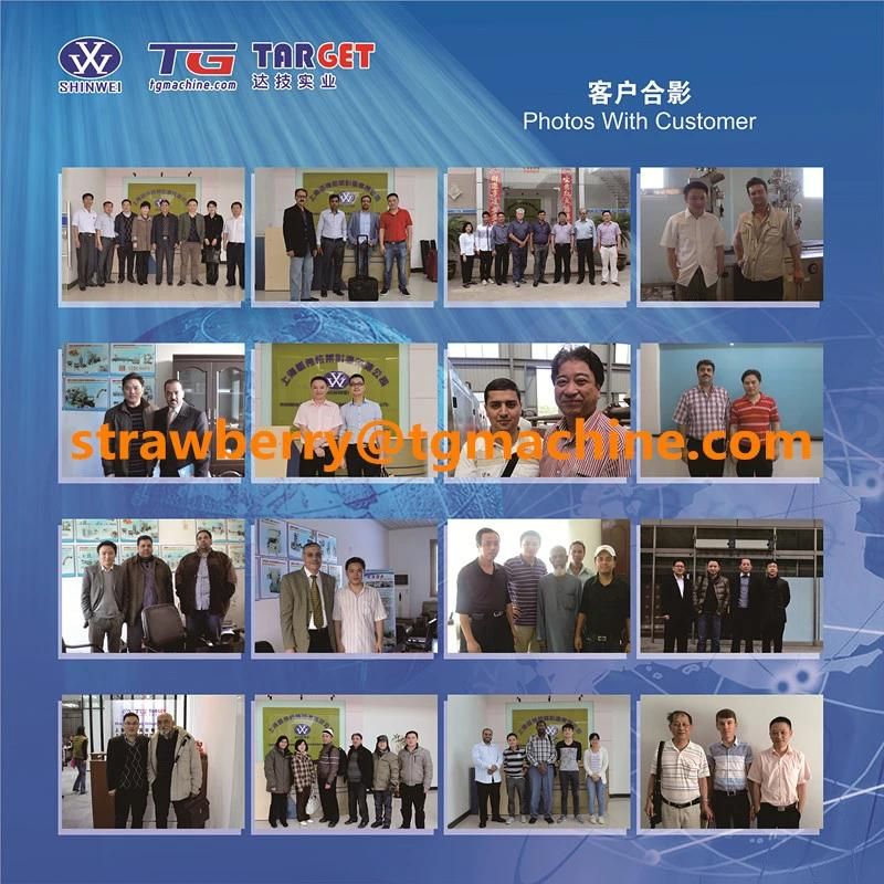 Automatic Bubble Gum Machine Manufacturer (DBG150)