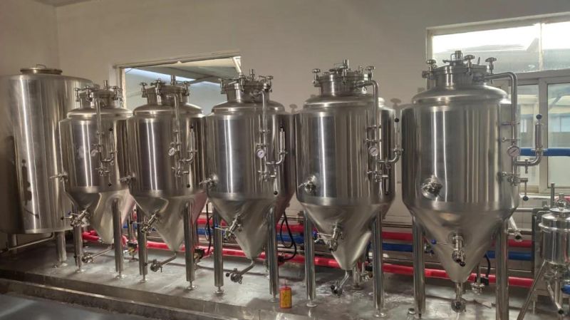 Stainless Steel 304 Small 100L Beer Brewing Fermenters Home Beer Brewing for Sale