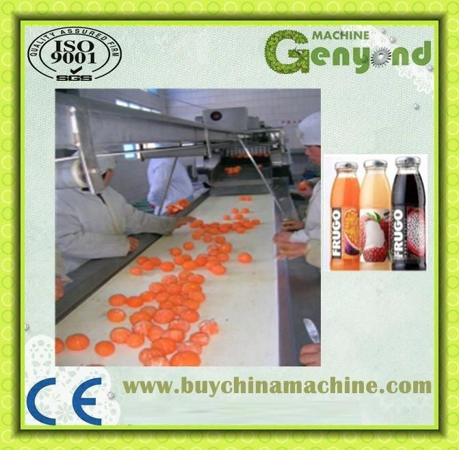Orange Apple Fruit Juice Processing Line in China