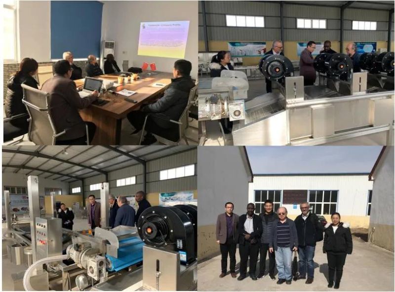 Green Beans Blanching Machine Vegetable Processing Line