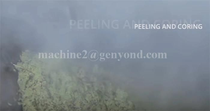 Good Quality Orange Powder Production Plant